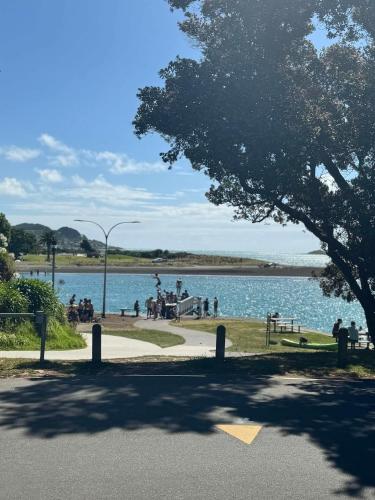 a view of a lake from a park with a tree at Warm Cosy holiday home right in town in Raglan
