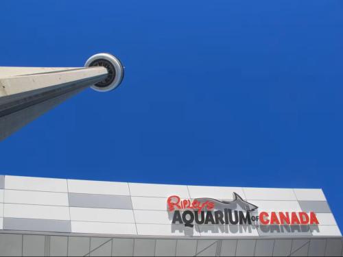 a sign on the side of a building at Holiday Inn Toronto International Airport by IHG in Toronto