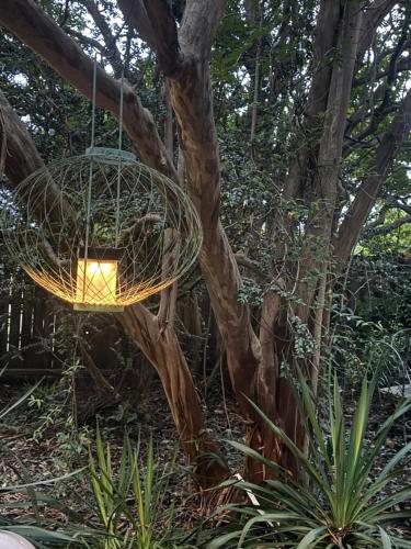 a hanging basket light hanging from a tree at Magnolia House & Gardens B&B in Clover