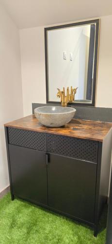 un bancone del bagno con lavandino e specchio di Chez Emilien 3 chambres 3 salles d'eau 8 couchages a Arcizac-Adour