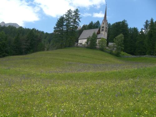 an old church on a hill with a field of flowers at Hotel Vigo in Vigo di Fassa