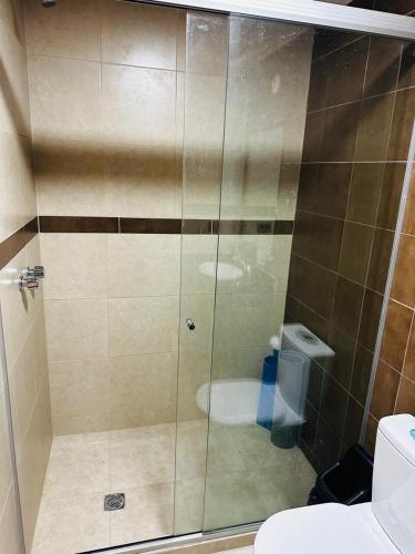 a shower with a glass door in a bathroom at Centrally located and comfortable apartment in Tupiza