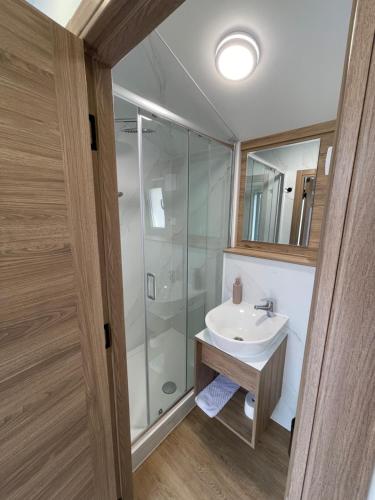 a bathroom with a sink and a glass shower at Kapija Svrljiga in Svrljig
