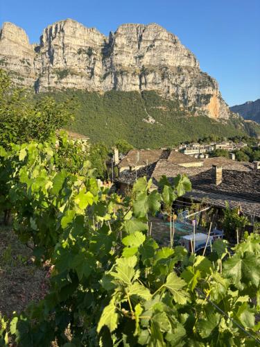 a bunch of vines in front of a mountain at Morfeas Guesthouse in Papigko
