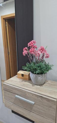a vase with pink flowers on top of a dresser at Apartamento con jardin in La Línea de la Concepción