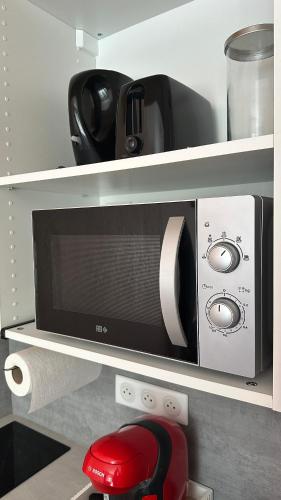 un four micro-ondes sur une étagère dans une cuisine dans l'établissement Appartement Le Palais, à Vernet-les-Bains