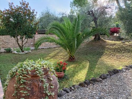 Giardino di Casa le Betulle