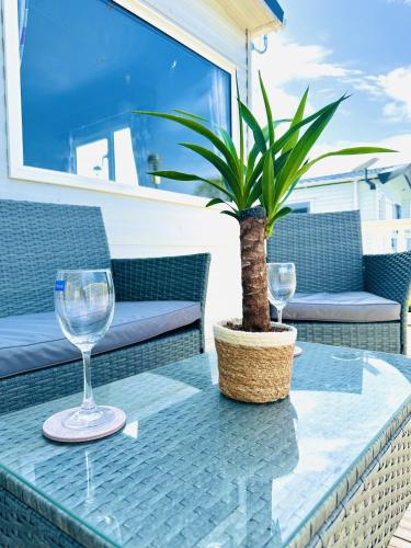 a table with two wine glasses and a potted plant at The Bay in Filey