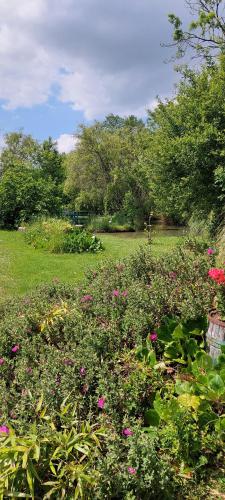 a field full of flowers in a park at Gite Rive Charente Le Bateau in Bords