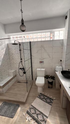 a bathroom with a shower and a toilet and a sink at Heraklia villa sea view pool & jacuzzi in Nea Iraklia