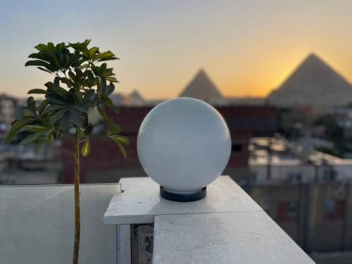 a white bowl sitting on a ledge next to a plant at Pyramids Khufu Solar Boat Hotel in Cairo