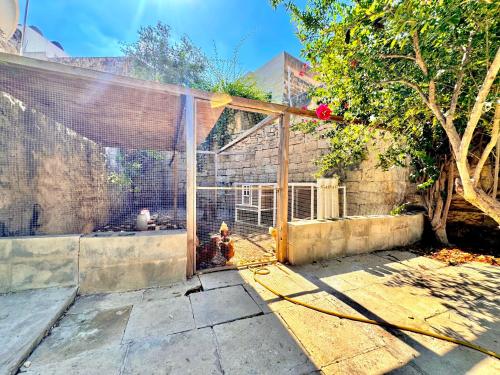 a backyard with a fence and a fire hydrant at Palazzo dei Fiori since 1883 in Ħal Balzan