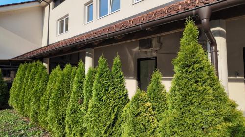 a row of evergreen trees in front of a building at Luxury Apartment Simba C in Smarjeske Toplice