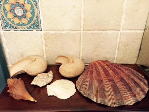 Gallery image of B&B dei Fiori in Praia a Mare