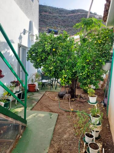 Un jardín fuera de Apartamento Loft con vistas al mar y ciudad