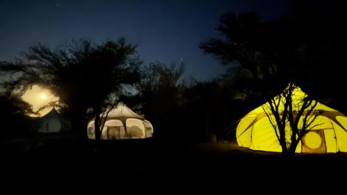 a couple of tents in a field at night at El Huarango Eco Lodge in La Huaica