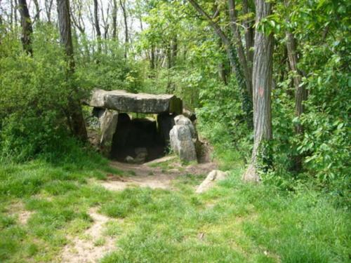 a stone structure in the middle of a forest at Jolie maison avec jardin, forêt, 45 min de Paris in Janville-sur-Juine