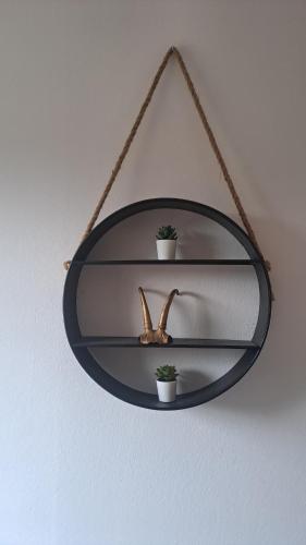 a mirror hanging on a wall with two plants at Ski, bike, hike & chill! in Sankt Kathrein am Hauenstein