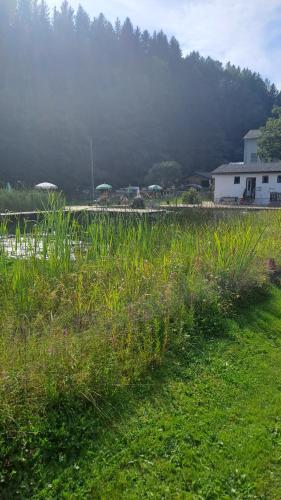 a field of grass with a house in the background at Ski, bike, hike & chill! in Sankt Kathrein am Hauenstein