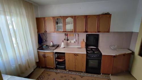 レスコヴァツにあるApartman Kali Leskovacの小さなキッチン(木製キャビネット、コンロ付)