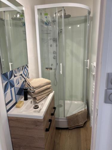 une salle de bain avec douche et lavabo dans l'établissement Appartement proche stade Vélodrome, à Marseille