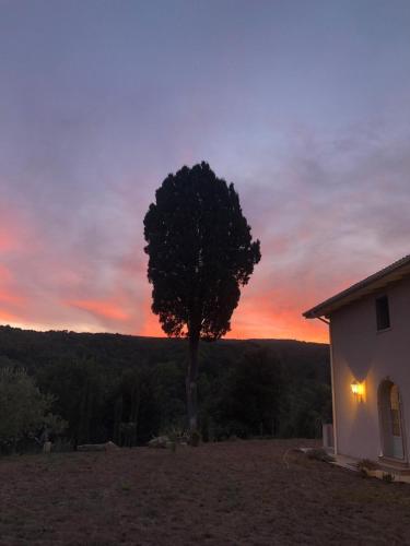 a tree in front of a house with a sunset at Agriturismo Tenuta il Molino in Gabbro