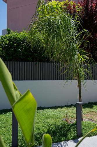 a green chair and a palm tree in a garden at Neutral Haven in Nafplio