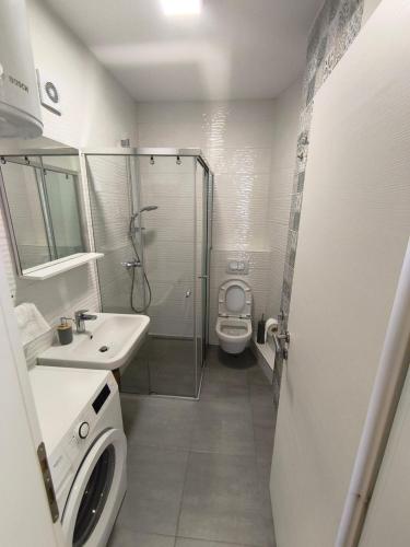 a bathroom with a toilet and a sink and a shower at Sea view Chiron in Budva