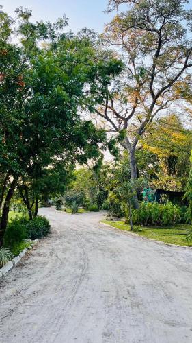 a dirt road with trees on either side at Happy Forest B&B in Katima Mulilo