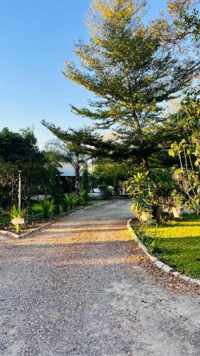 a road with a tree on the side of it at Happy Forest B&B in Katima Mulilo