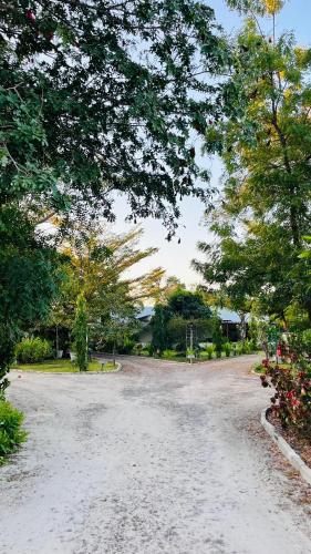 a dirt road with trees and flowers in a park at Happy Forest B&B in Katima Mulilo