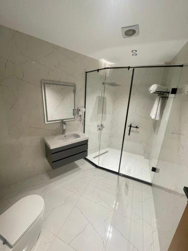 a bathroom with a shower and a toilet and a sink at Elevana Boutique hotel in Cairo