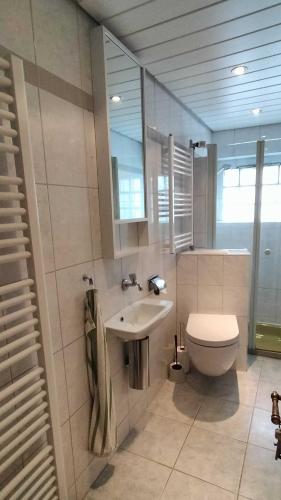 a bathroom with a white toilet and a sink at Romantik-Pension Vogt in Offenburg