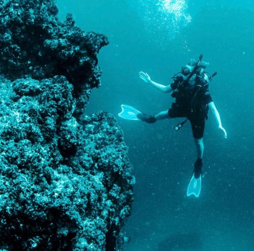 a person in the water next to a reef at Summer Salt Beach Casita in Punta Mita