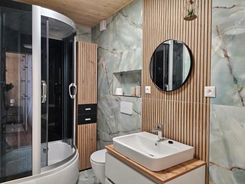 a bathroom with a sink and a toilet and a mirror at Wellness Toliar Tatry in Stará Lesná