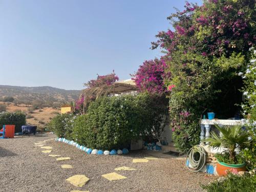 a row of plants and flowers on a gravel road at Villa des Jasmins - Aghroude in Aghroude