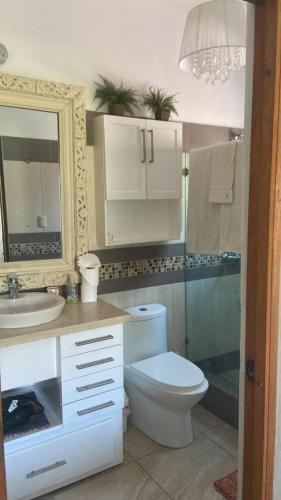a bathroom with a toilet and a sink and a mirror at 2 Zimmerwohnung, offene Küche und grosser Wohnbereich mit Poolblick in Cabarete wenige Schritte vom Meer in Cabarete