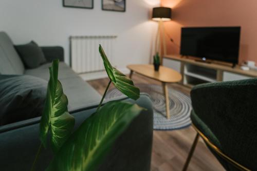 TV a/nebo společenská místnost v ubytování Apto Barrio Húmedo Conde Luna y parking incluido