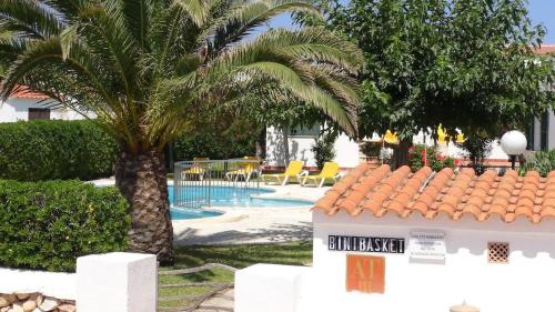 a palm tree in front of a swimming pool at Binibasket in Ciutadella