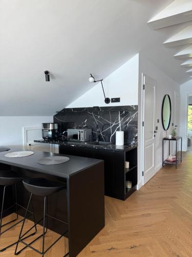 Kuchyň nebo kuchyňský kout v ubytování Penthouse Colibița