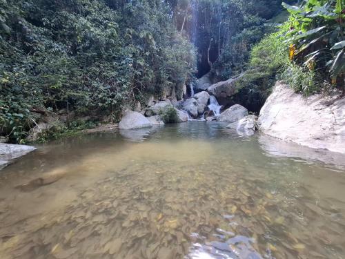 a pool of water in a river with trees at Cabaña sol wifi jacuzzi charcos parking in Barbosa