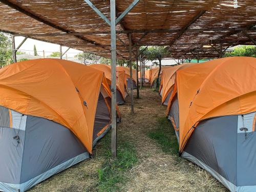 Gallery image of iCampJal Beach Camp and Bar in Jal