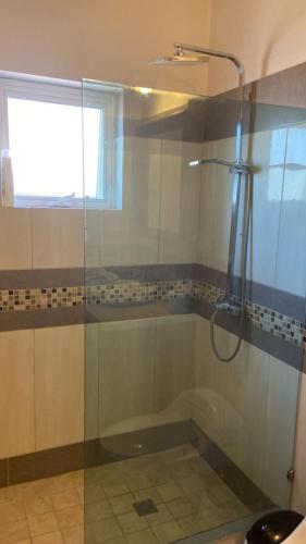 a shower with a glass door in a bathroom at 2 Zimmerwohnung, offene Küche und grosser Wohnbereich mit Poolblick in Cabarete wenige Schritte vom Meer in Cabarete