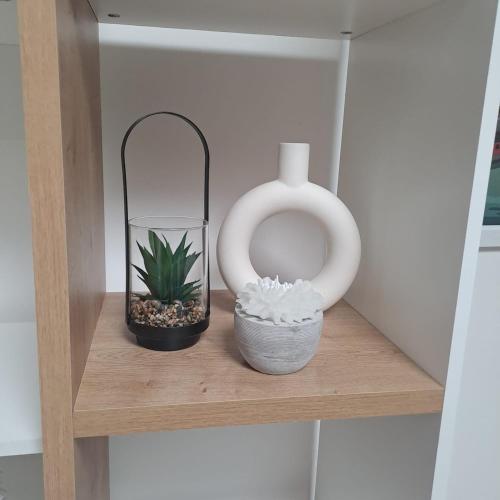 a shelf with a plant and a vase on it at Coeur bleu de Ribérac - hyper centre in Ribérac