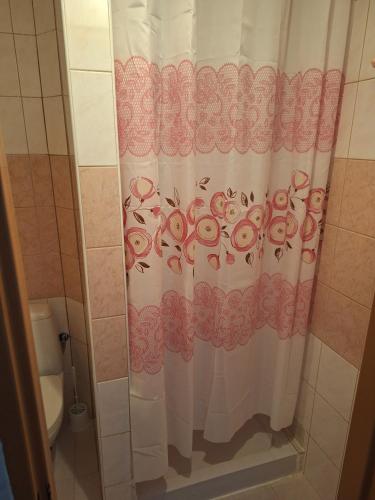 a shower curtain in a bathroom with a toilet at Penzion Anna in Hrabušice