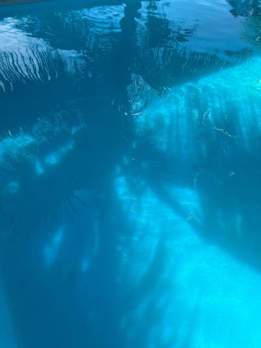 a person swimming in a pool of blue water at Lodge Villa MAYANKI in Dzamandzar