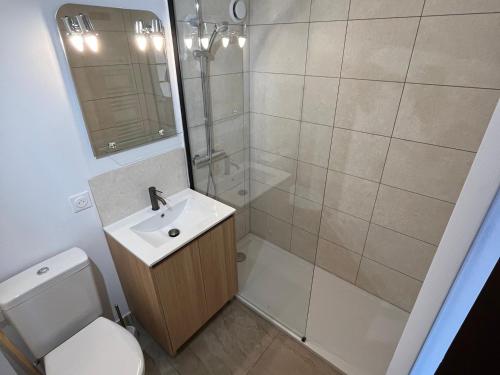 une salle de bain avec toilettes, lavabo et douche dans l'établissement Avoriaz Centre - Studio rénové 3/4 pers, balcon exposé Sud, à proximité Festival et pistes de ski - FR-1-633-62, à Morzine