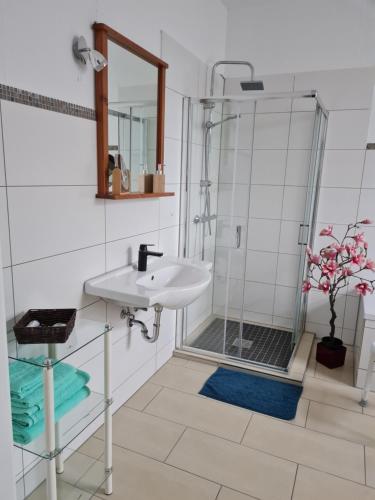 a bathroom with a sink and a shower at Gambrinus Schneeberg in Schneeberg