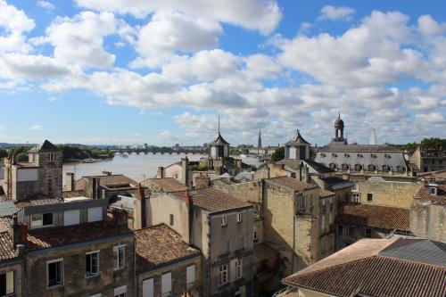 a view of a city with a river and buildings at Hotel Indigo Bordeaux Centre Chartrons by IHG in Bordeaux
