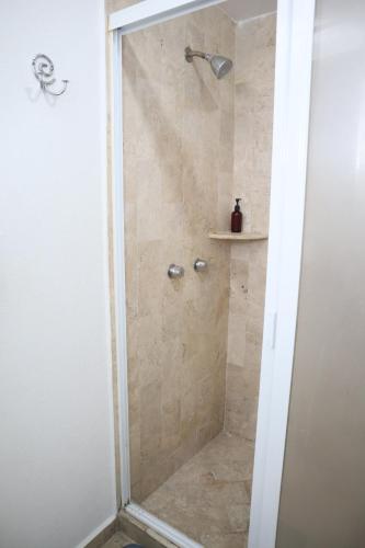 a shower with a glass door in a bathroom at Departamento Arquimedes 214 - 503 in Mexico City